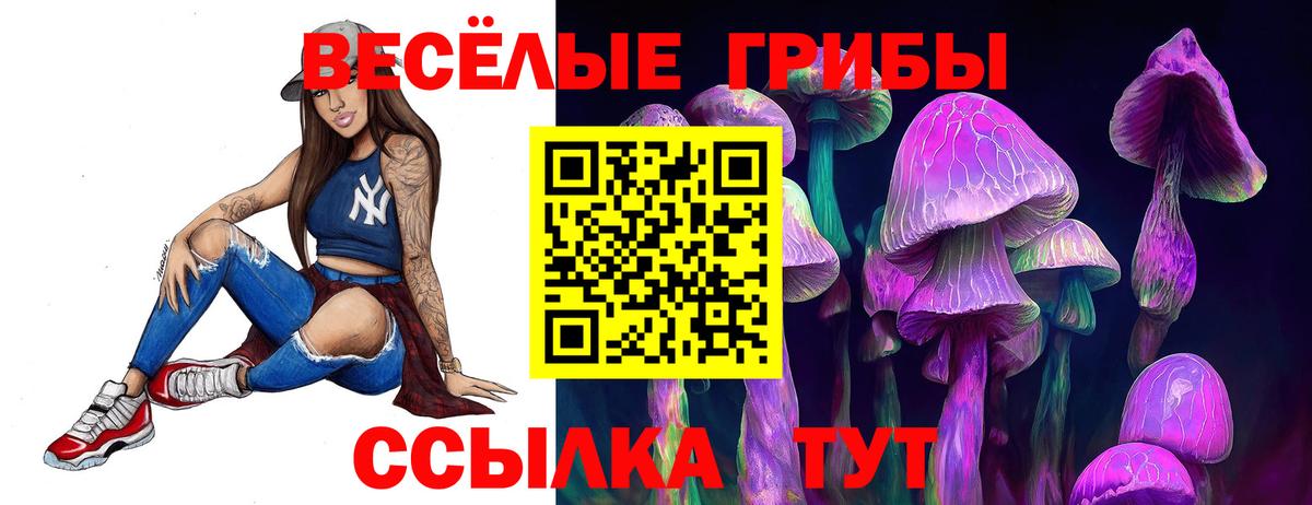 Заволжье  Псилоцибиновые грибы Psilocybine cubensis  Вход с VPN 